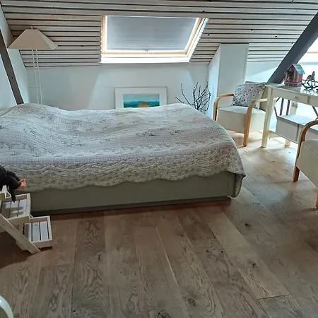 Inne Schuur Holiday home Vlodrop